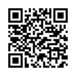 QR Code (код быстрого отклика)