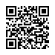 QR Code (код быстрого отклика)