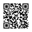 QR Code (код быстрого отклика)