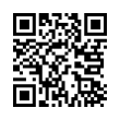 QR Code (код быстрого отклика)