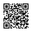 QR Code (код быстрого отклика)