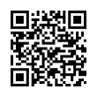 QR Code (код быстрого отклика)