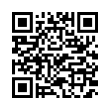 QR Code (код быстрого отклика)