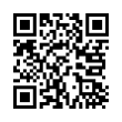 QR Code (код быстрого отклика)