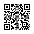 QR Code (код быстрого отклика)