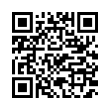 QR Code (код быстрого отклика)