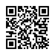 QR Code (код быстрого отклика)