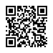 QR Code (код быстрого отклика)