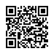 QR Code (код быстрого отклика)