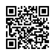 QR Code (код быстрого отклика)