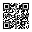 QR Code (код быстрого отклика)