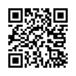 QR Code (код быстрого отклика)