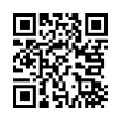 QR Code (код быстрого отклика)