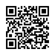 QR Code (код быстрого отклика)