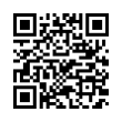 QR Code (код быстрого отклика)