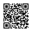 QR Code (код быстрого отклика)