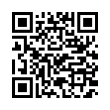 QR Code (код быстрого отклика)