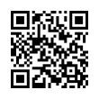 QR Code (код быстрого отклика)