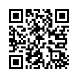QR Code (код быстрого отклика)