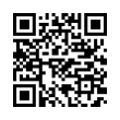 QR Code (код быстрого отклика)