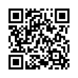 QR Code (код быстрого отклика)