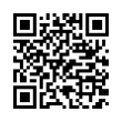 QR Code (код быстрого отклика)