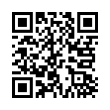 QR Code (код быстрого отклика)