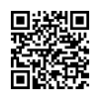 QR Code (код быстрого отклика)