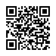 QR Code (код быстрого отклика)