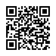 QR Code (код быстрого отклика)