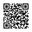 QR Code (код быстрого отклика)