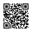 QR Code (код быстрого отклика)