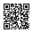 QR Code (код быстрого отклика)