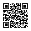 QR Code (код быстрого отклика)