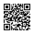 QR Code (код быстрого отклика)