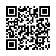 QR Code (код быстрого отклика)