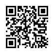 QR Code (код быстрого отклика)