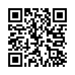 QR Code (код быстрого отклика)