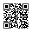 QR Code (код быстрого отклика)