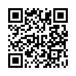 QR Code (код быстрого отклика)