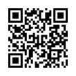 QR Code (код быстрого отклика)