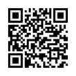 QR Code (код быстрого отклика)