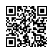 QR Code (код быстрого отклика)