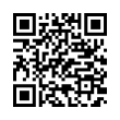 QR Code (код быстрого отклика)