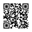 QR Code (код быстрого отклика)