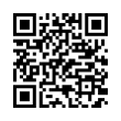 QR Code (код быстрого отклика)