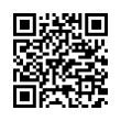 QR Code (код быстрого отклика)