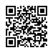 QR Code (код быстрого отклика)