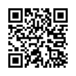 QR Code (код быстрого отклика)