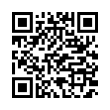 QR Code (код быстрого отклика)